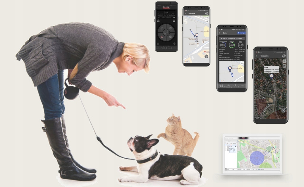 Питомцы всегда под присмотром с GPS сервисами для мониторинга животных