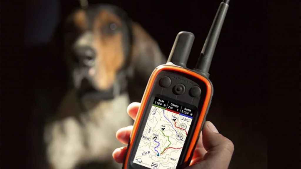 Питомцы всегда под присмотром с GPS сервисами для мониторинга животных