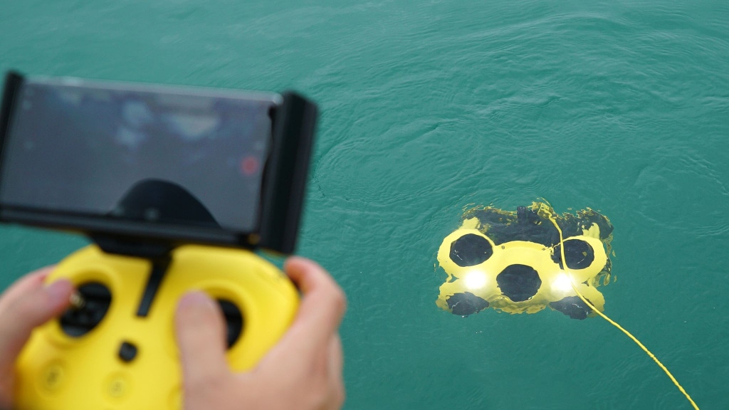 Услуга Съемка Подводным дроном