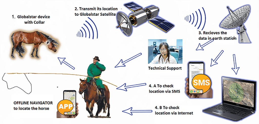 GPS трекеры для слежения за лошадьми