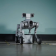 Робопес Pudu Robotics D5-W фото 3