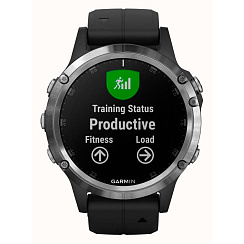Смарт-часы Garmin Fenix 5 Plus черный/серебряный
