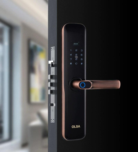 Биометрический электронный замок Pro-Lock OLSA фото 3