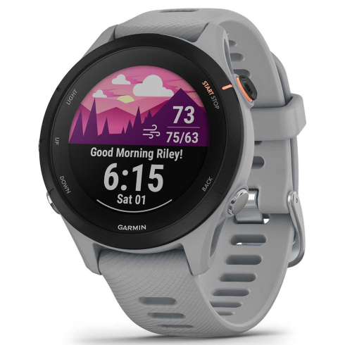 Смарт-часы Garmin Forerunner 255S серые/силикон фото 1