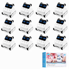 Набор роботов Makeblock Codey Rocky for Schools/Groups (12+mTiny Coding Kit)