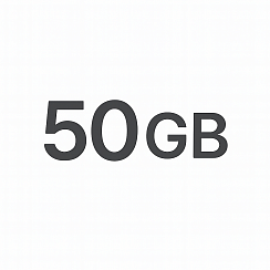 Услуги связи пакет Starlink Local Priority 50 GB