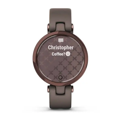 Смарт-часы Garmin Lily Classic, стекло/полимер, paloma/кожа фото 2