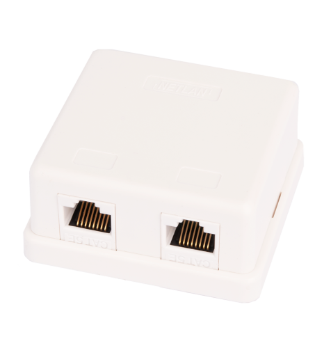 Настенная розетка NETLAN, 2 порта, Кат.5e (Класс D), 100МГц, RJ45/8P8C, 110, T568A/B, неэкранированная, белая фото 1