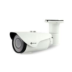 IP-камера Milesight MS-C2162-EP