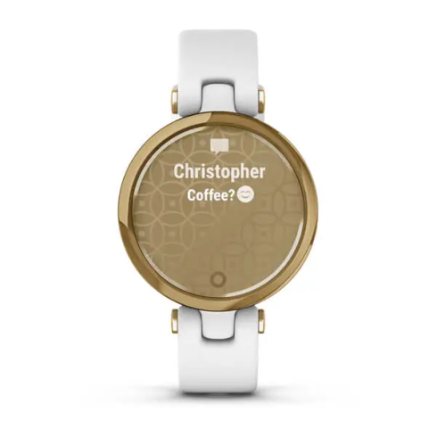 Смарт-часы Garmin Lily Classic, стекло/полимер, белые/кожа фото 2