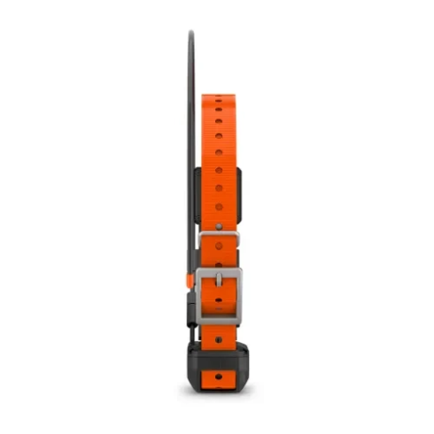 Ошейник с GPS Garmin TT25 фото 2