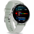 Смарт-часы Garmin Venu 3S 41 мм AMOLED серо-зеленый/силикон фото 3