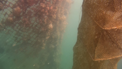 Подводный дрон Chasing M2 ROV (100 м) фото 32
