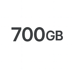 Услуги связи пакет Starlink Local Priority 700 GB