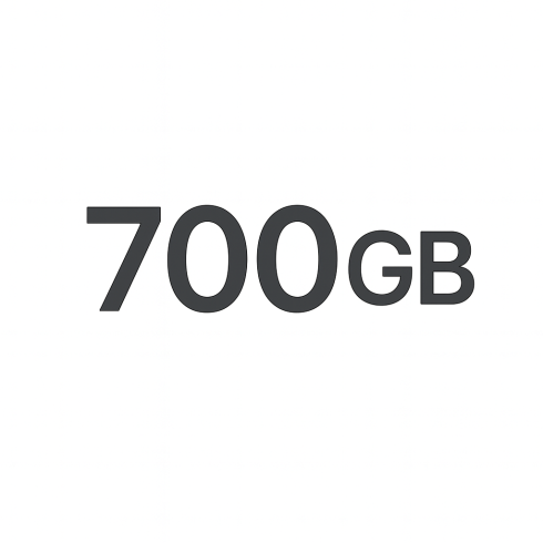 Услуги связи пакет Starlink Local Priority 700 GB фото 1