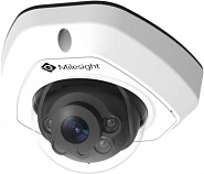 IP-камера Milesight MS-C2973-PB