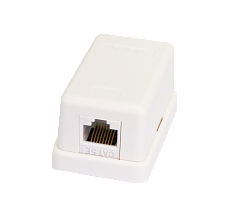 Настенная розетка NETLAN, 1 порт, Кат.5e (Класс D), 100МГц, RJ45/8P8C, 110, T568A/B, неэкранированная