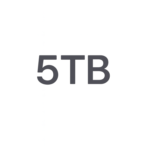 Услуги связи пакет Starlink Local Priority 5 TB фото 1