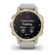 Смарт-часы Garmin Descent Mk2S 42 мм AMOLED сапфир/светлое золото, силикон фото 8