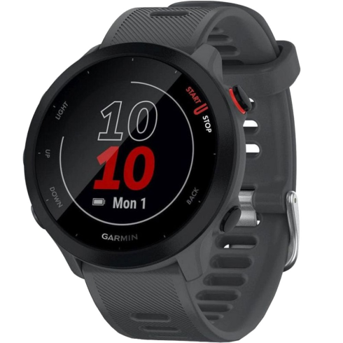 Смарт-часы Garmin Forerunner 55 серые/силикон фото 1