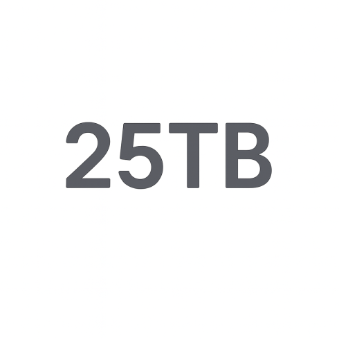 Услуги связи пакет Starlink Local Priority 25 TB фото 1