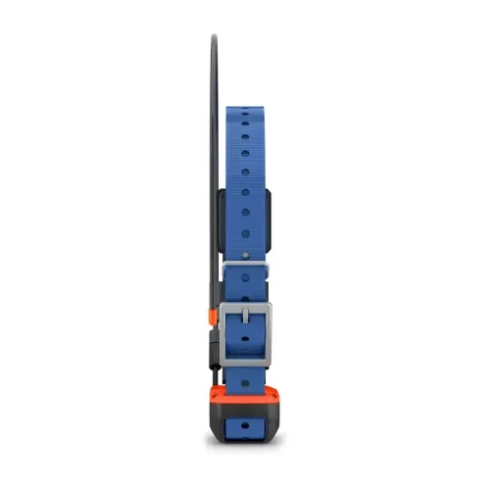 Ошейник с GPS Garmin T20 фото 2