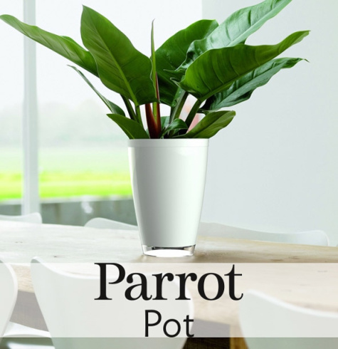 Цветочный горшок Parrot Pot фото 1