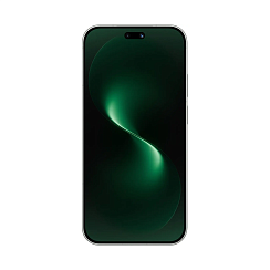 Абонентский терминал Huawei Nova 15 PSN-LX9 12GB RAM 512GB ROM Green