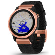 Смарт-часы Garmin Fenix 6S Sapphire черный/золотой фото 17