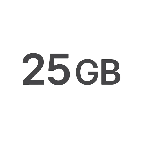 Услуги связи пакет Starlink Local Priority 25 GB фото 1