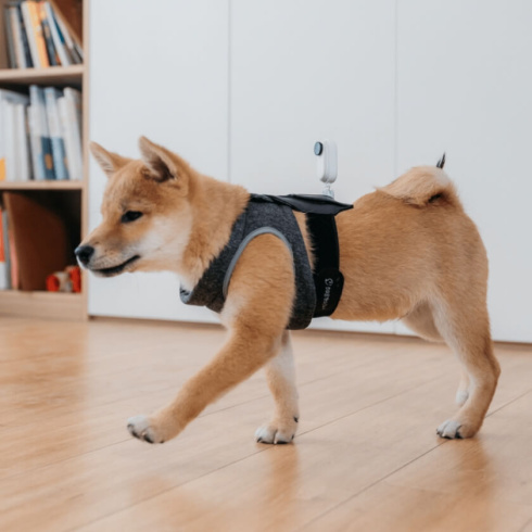 Крепление Insta360 GO 2 Pet Strap фото 4