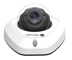IP-камера антивандальная Milesight MS-C2173-PNA