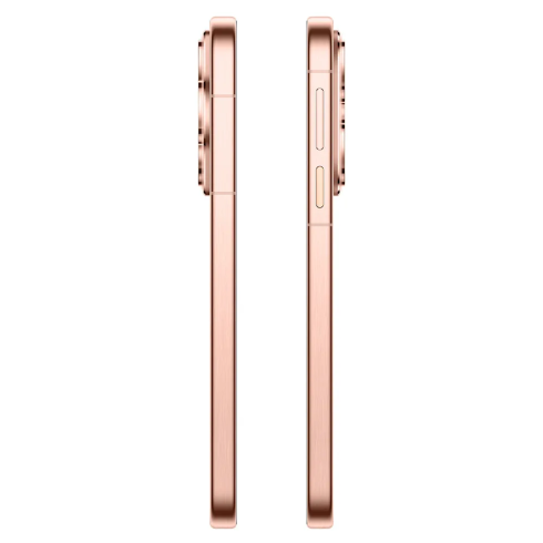 Абонентский терминал Huawei Pura 80 HED-LX9 12GB RAM 256GB ROM Gold фото 2