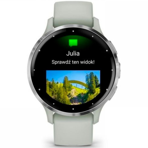 Смарт-часы Garmin Venu 3S 41 мм AMOLED серо-зеленый/силикон фото 2
