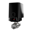 Черный кран перекрытия воды с дистанционным управлением Ajax WaterStop 1/2" фото 1