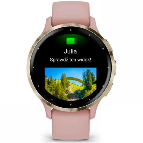 Смарт-часы Garmin Venu 3S 41 мм AMOLED пыльная роза/силикон фото 2