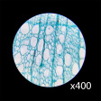 Цифровой микроскоп Barska 4MP фото 11