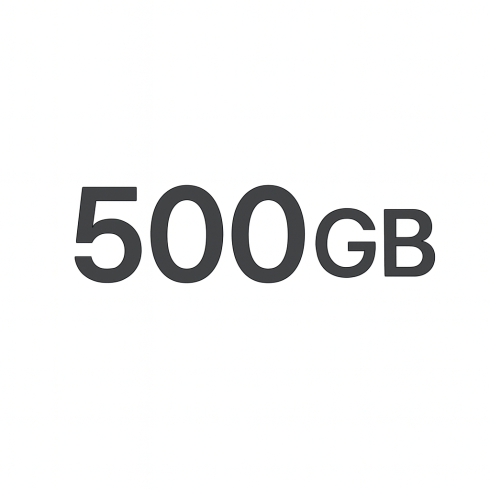 Услуги связи пакет Starlink Local Priority 500 GB фото 1