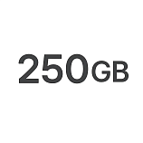 Услуги связи пакет Starlink Local Priority 250 GB