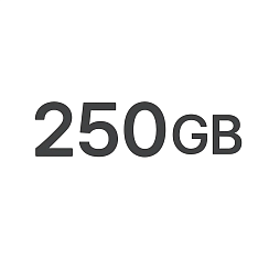 Услуги связи пакет Starlink Local Priority 250 GB