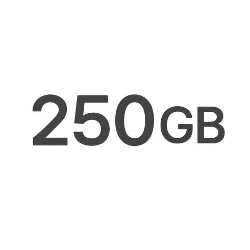 Услуги связи пакет Starlink Local Priority 250 GB фото 1