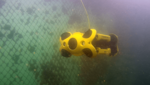 Подводный дрон Chasing M2 ROV (100 м) фото 33