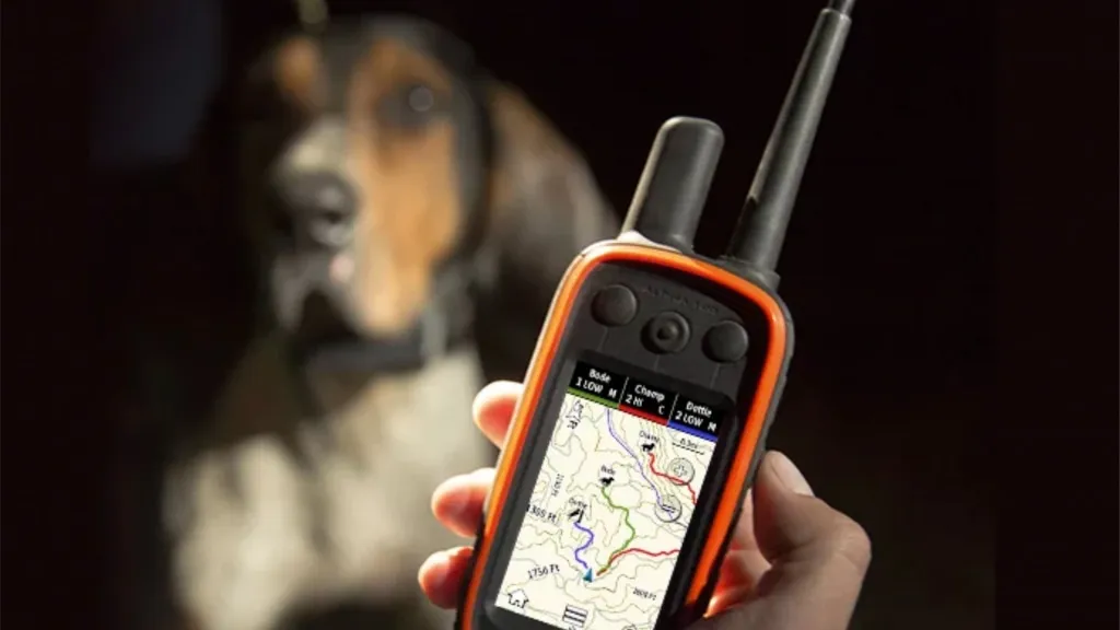 Питомцы всегда под присмотром с GPS сервисами для мониторинга животных
