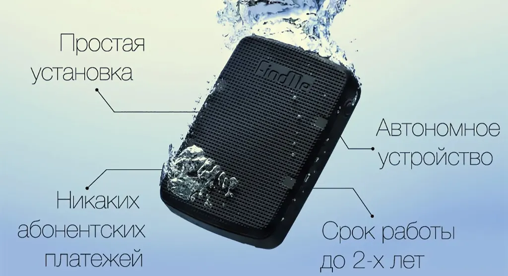 Питомцы всегда под присмотром с GPS сервисами для мониторинга животных