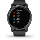 Смарт-часы Garmin Vivoactive 4 черный