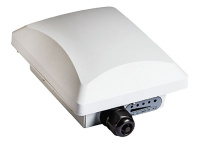 Радиомост ZoneFlex P300 1