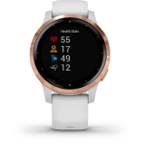 Смарт-часы Garmin Vivoactive 4S золотой/белый